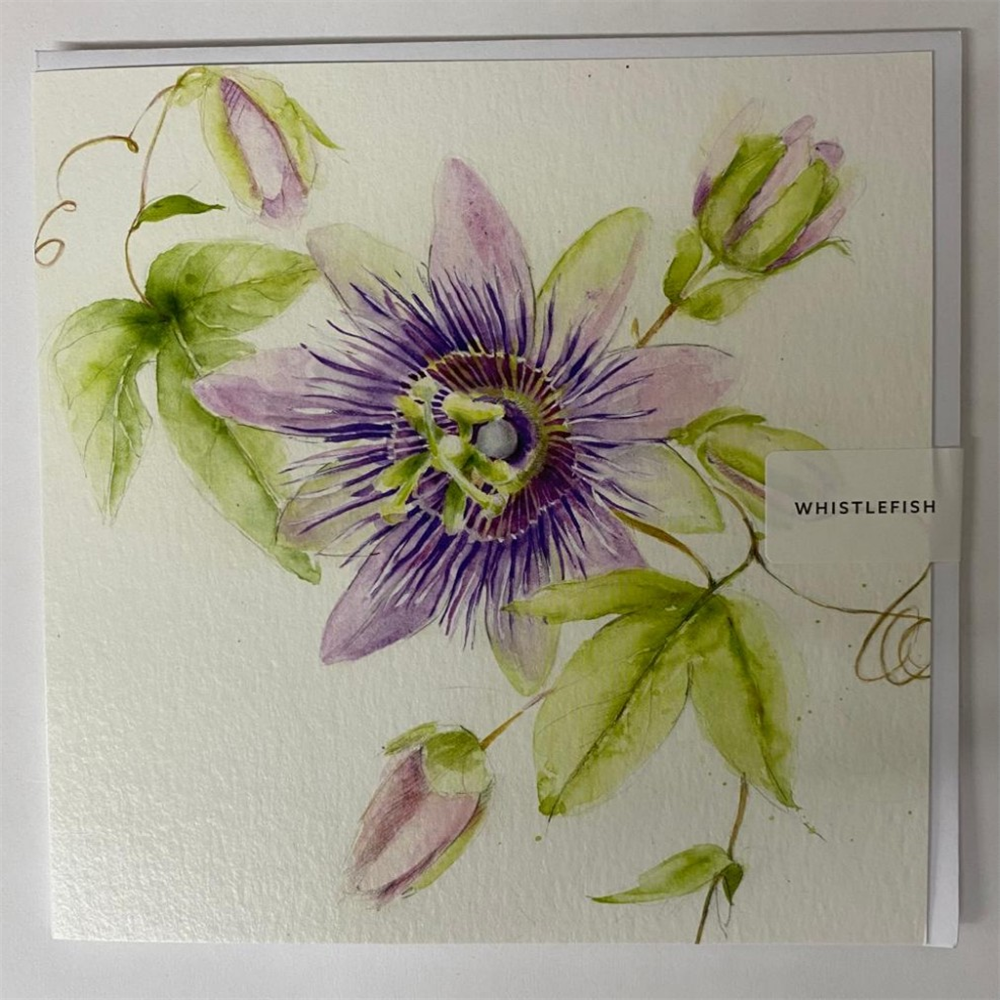 Whistlefish Greeting Card Passion Flower 16x16cm | Farmyard Nurseries