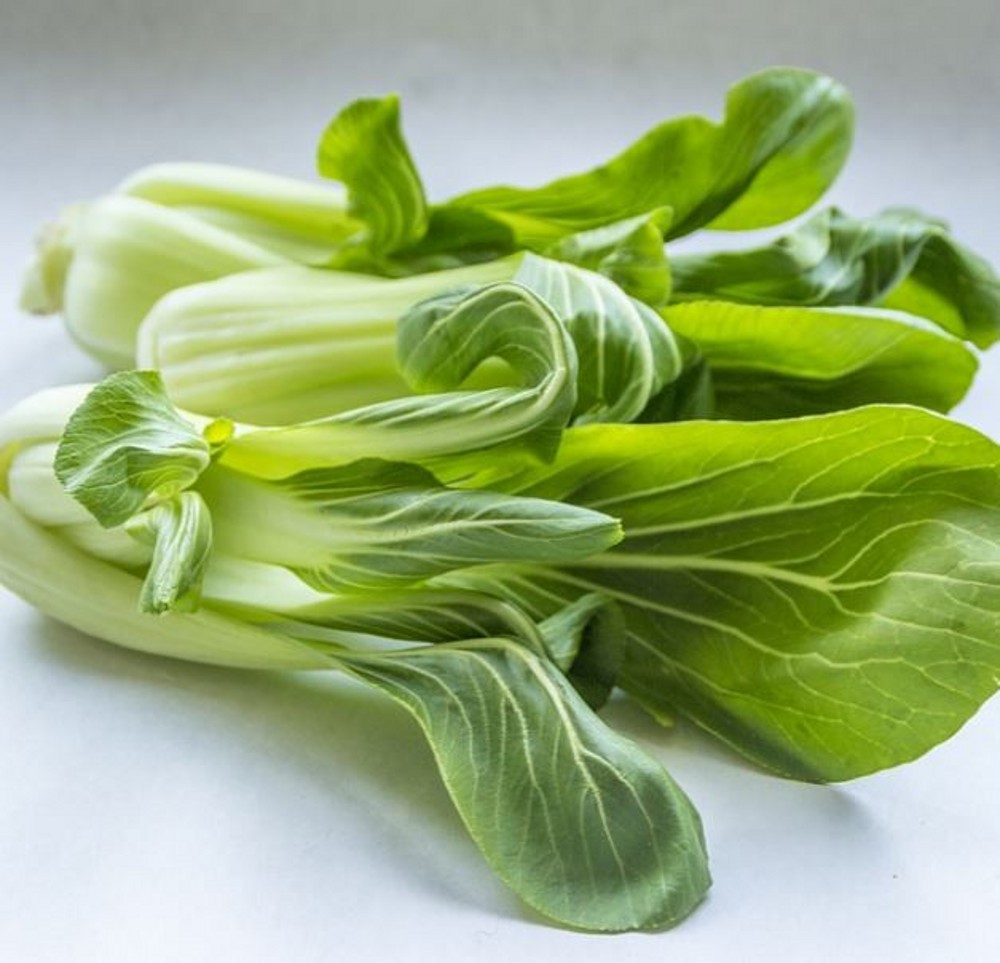 Pak Choi approx. 8 per strip | Farmyard Nurseries