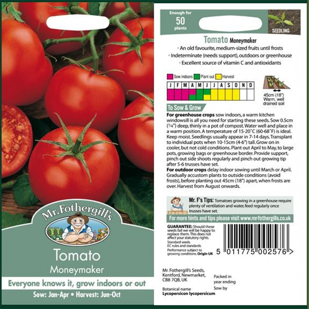 TOMATO Moneymaker | Farmyard Nurseries