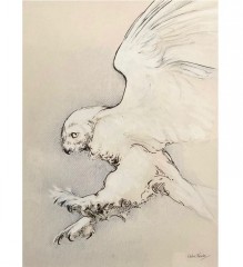 Elaine Franks Artwork Snowy Owl Study