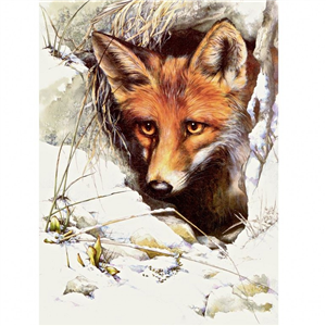 Elaine Franks Artwork Winter Fox Watching