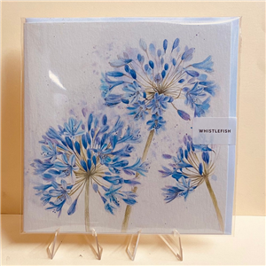 Whistlefish Greeting Card Agapanthus 16x16cm