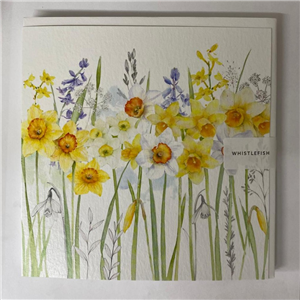 Whistlefish Greeting Card Daffodils 16x16cm