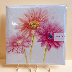 Whistlefish Greeting Card Gerbera 16x16cm