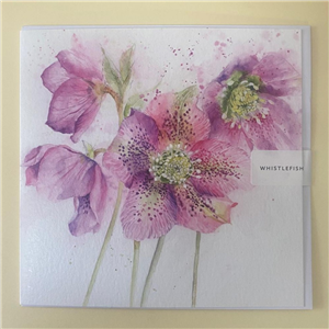 Whistlefish Greeting Card Hellebores 16x16cm