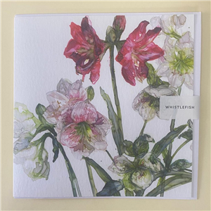 Whistlefish Greeting Card Amaryllis & Hellebor 16x16cm