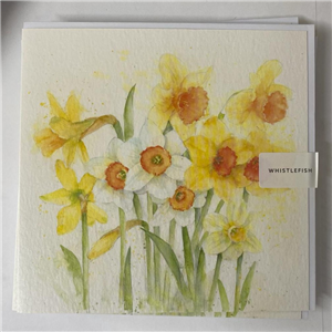 Whistlefish Greeting Card Narcissi 16x16cm