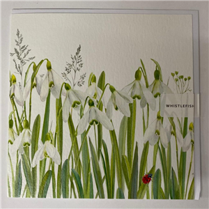 Whistlefish Greeting Card Snowdrops 16x16cm