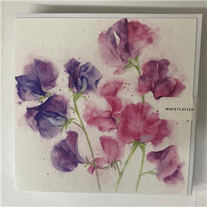 Whistlefish Greeting Card Sweet Peas16x16cm