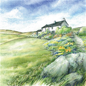 Farmyard Greeting Card Cold Windy Skies 16x16cm