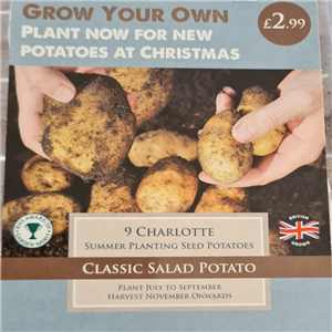 Christmas Potato Charlotte