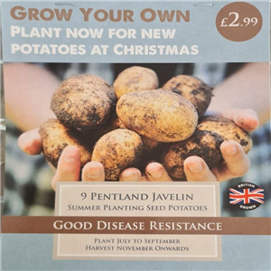 Christmas Potato Pentland Javelin