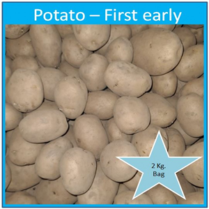 Potato First Early Premier 2 kg. bag