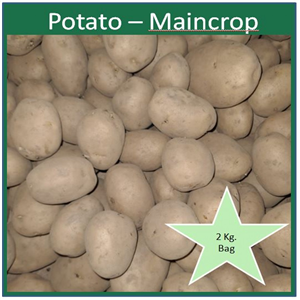 Potato Maincrop Caledonian Rose per 2 Kg. bag