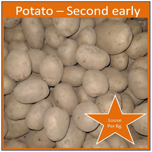 Potato Second Early (Loose) Maris Peer per Kg.