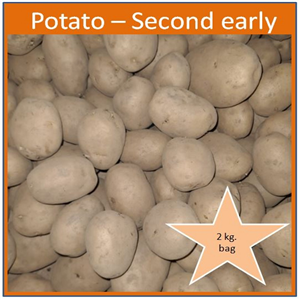 Potato Second Early Nadine 2 kg. bag