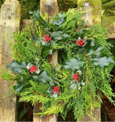 Wreath conifer and holly