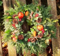 Wreath extra large apple and holly