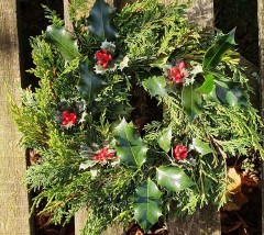 Wreath conifer and holly