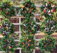 Wreath extra large holly and cones