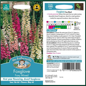 FOXGLOVE Foxy Mixed