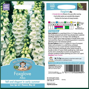 FOXGLOVE Alba