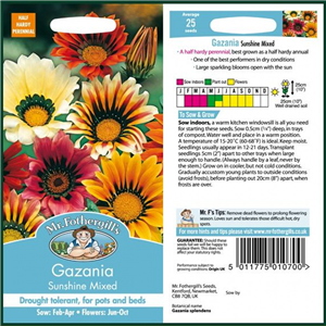 GAZANIA Sunshine Mixed