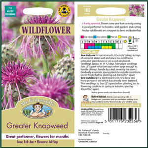 WF Greater Knapweed