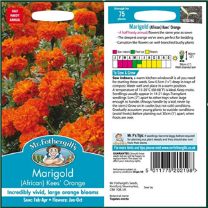 MARIGOLD (African) Kees Orange