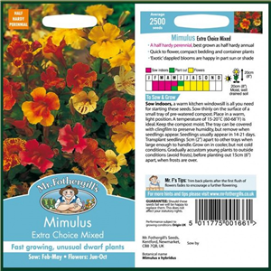 MIMULUS Extra Choice Mixed