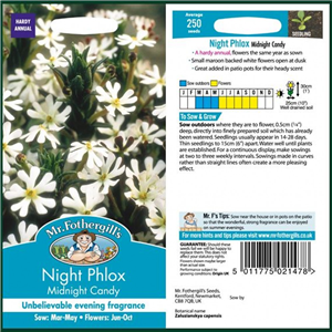 NIGHT PHLOX Midnight Candy