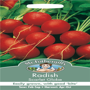 RADISH Scarlet Globe