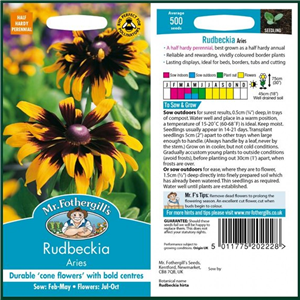 RUDBECKIA Aries