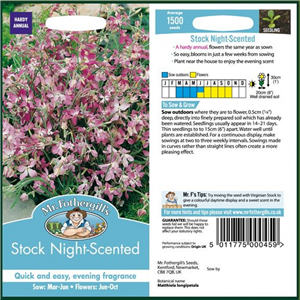 STOCK Night Scented