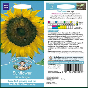 SUNFLOWER Giant Single