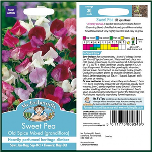 SWEET PEA Old Spice Mixed (grandiflora)