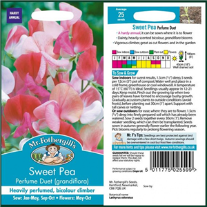 SWEET PEA Perfume Duet (grandiflora)