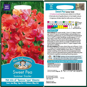 SWEET PEA Summer Sizzler