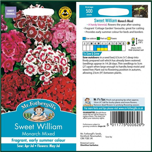 SWEET WILLIAM Monarch Mixed