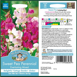 SWEET PEA Perennial Everlasting Mixed