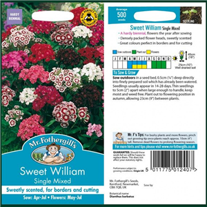 SWEET WILLIAM Single Mixed