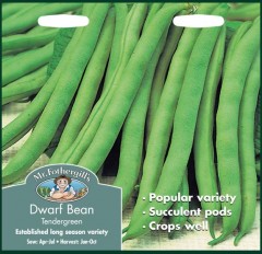 DWARF BEAN Tendergreen