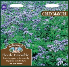 GREEN MANURE Phacelia tanacetifolia