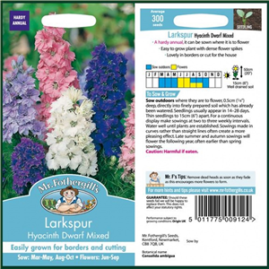 LARKSPUR Hyacinth Dwarf Mixed