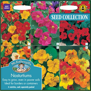 NASTURTIUM COLLECTION