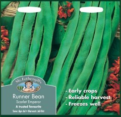 RUNNER BEAN Scarlet Empire (Stringless)