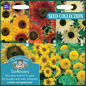 SUNFLOWERS COLLECTION