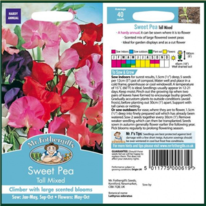 SWEET PEA Tall Mixed