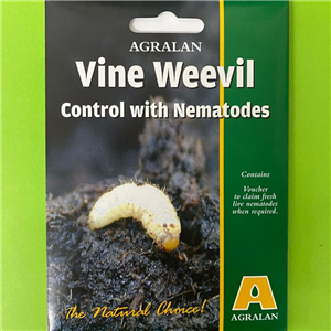 Vine Weevil Nematodes Agralan